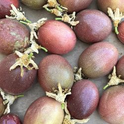 Organic Passion Fruits . In Season Now. Wholesale Available