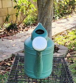Plastic watering can - Gently used