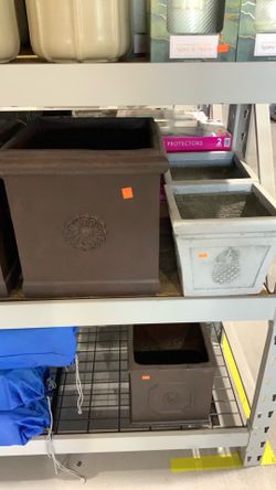 Pot assorted styles $25