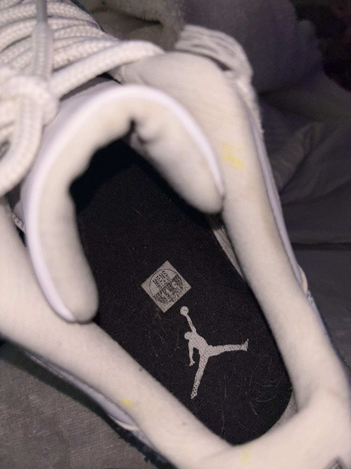 Navy Snakeskin 11s