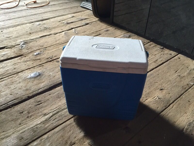 Igloo lunch cooler