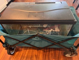 Used 20 Gallon Fish Tank