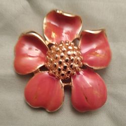 3 Antique Brooches (each) 