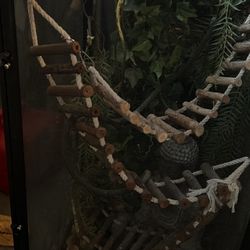 Chameleon Cage