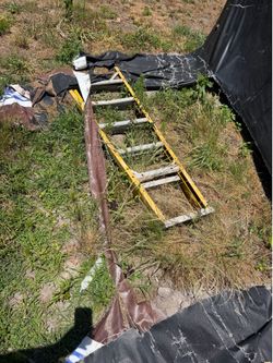 Two older ladders 12ft