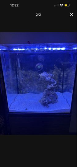 25 Gallon Fish Tank with Filter Pump and Extras