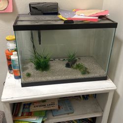 20 Gal Tank