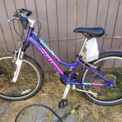 New Shwinn Ranger
