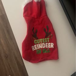 Dog Christmas Outfit
