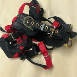 Harness