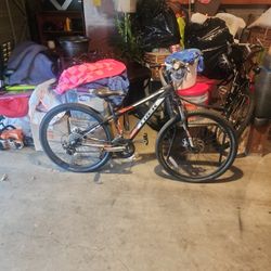Ladies Trek Mountain Bike