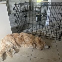 Dog crate- Extra Large