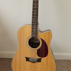 Ibanez Acoustic Electric Guitar 