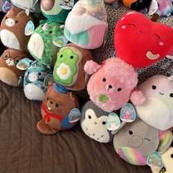 Squishmallows 