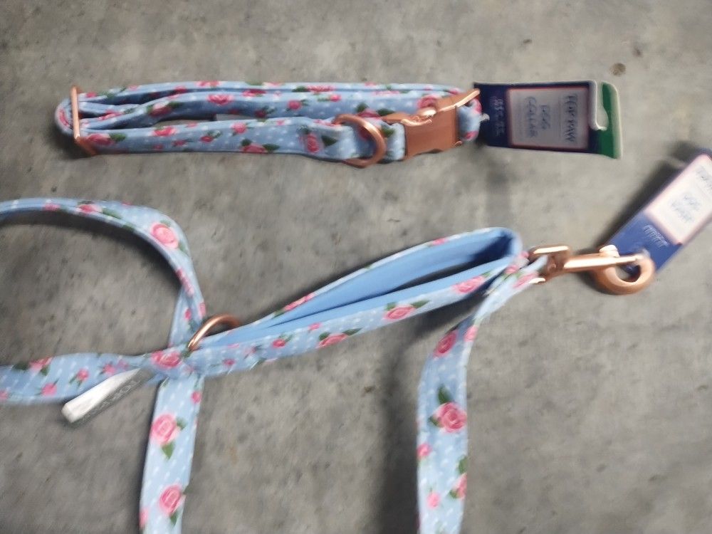Dog Collar And Leash Brand New With Tags Large