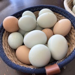 Organic Chicken Eggs