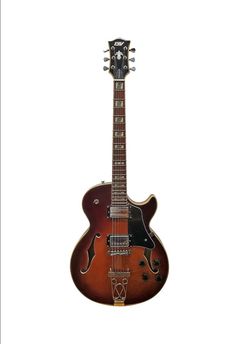 IVY thinline Paul style w F holes semi hollow electric guitar