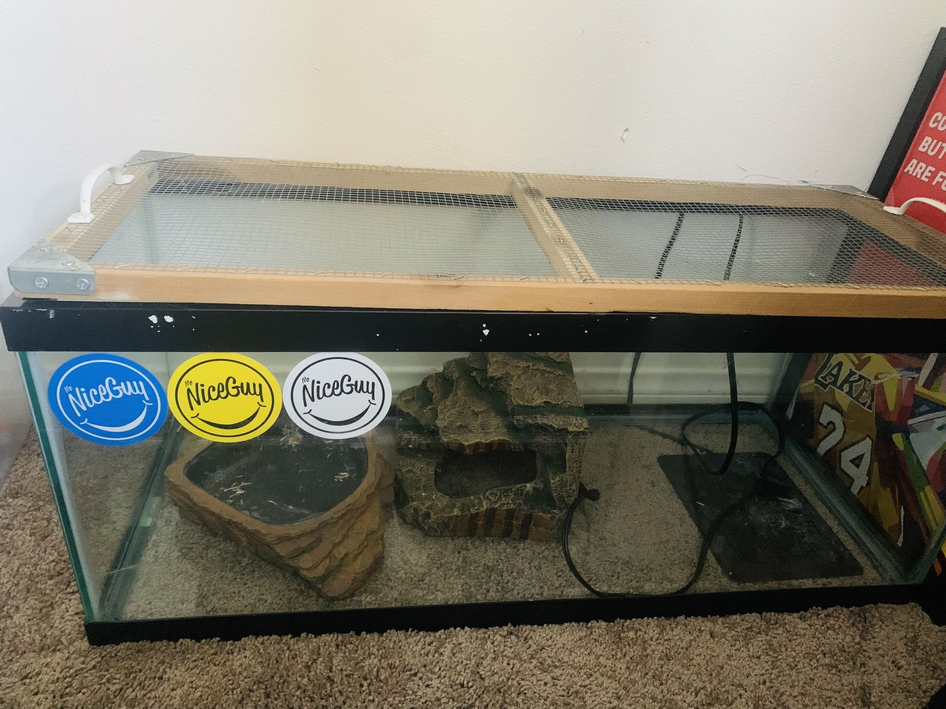 Reptile Tank