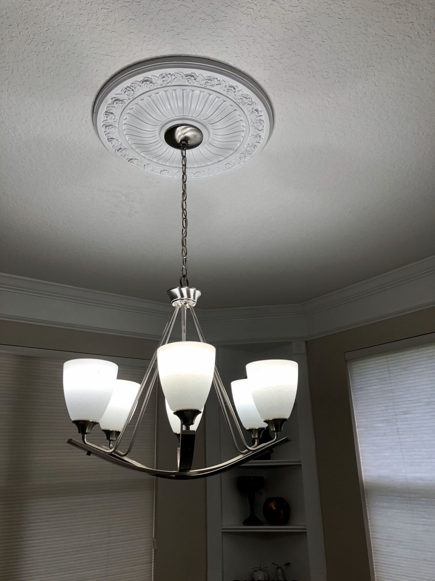 Modern/Contemporary Chandelier - Ceiling Light