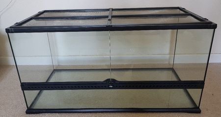 40 gallon lizard tank with bearded dragon and all supplies