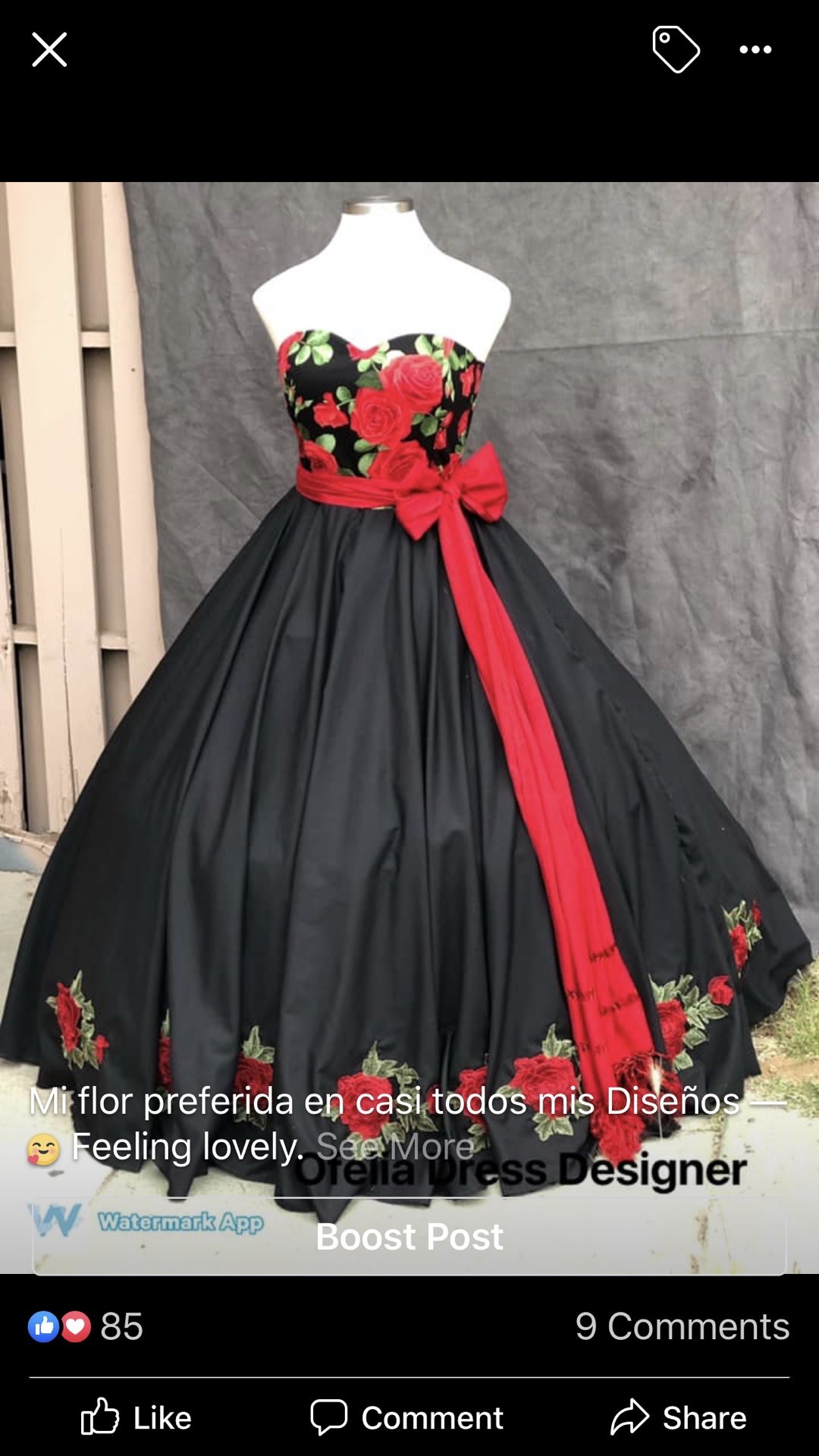 Mexican Quinceanera Dress