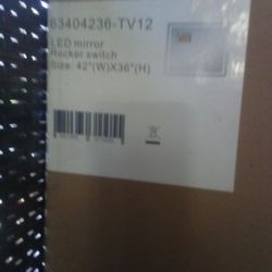 LED  Mirror With A  Tv