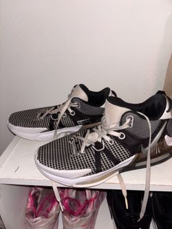 LeBron witness 7