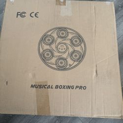 Musical Boxing Pro New 
