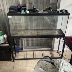 Fish Tank 