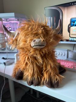Highland weighted cow 4.5pds