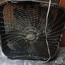 Fans 