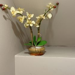 Floral Decor