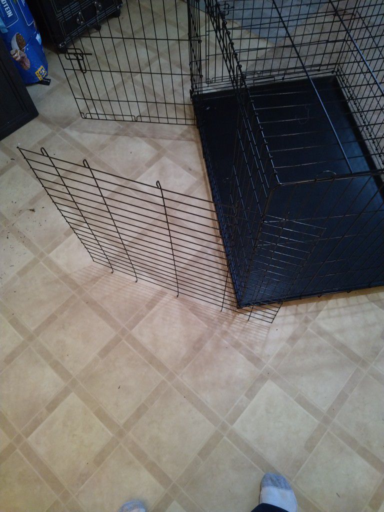 Dog Crate With Divider For Two Dogs Has Two Doors