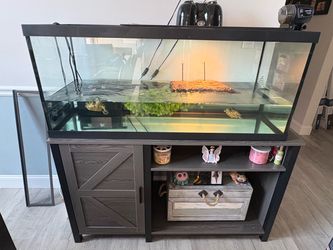 75 gallon Aquarium with cabinet and 2 yellow sliders.