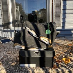 Jordan 6 DMP Size 11