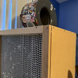 Laminar Flow Hood Mycology 