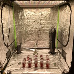 Entire Grow Tent Set Up 