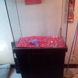 Nice fish tank aquarium with the stand and all accessories.
