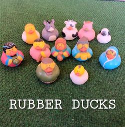 Rubber Ducks Animals Nice!