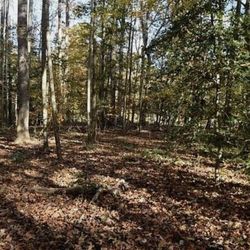 Resort Land for sale By Owner!  Owner Financing available if it will help you buy Gods Land!  I have 3 Resort Lots for sale. Owner financing if your i