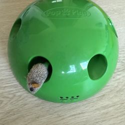 Cat Toy Pop & Play