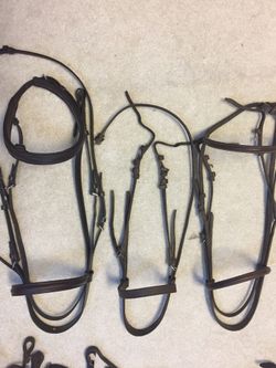 Horse bridles