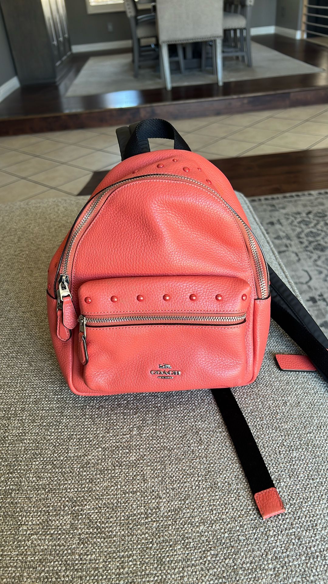 Small Leather Coach Backpack