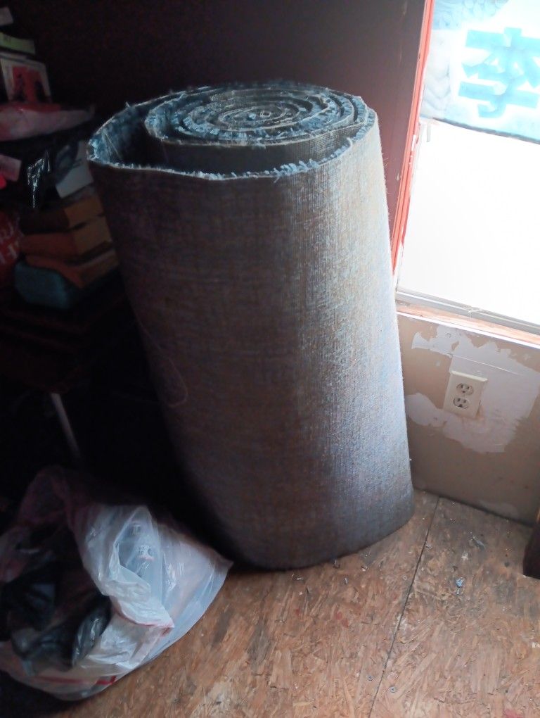 Blue Rug Brand New 20 Dollars