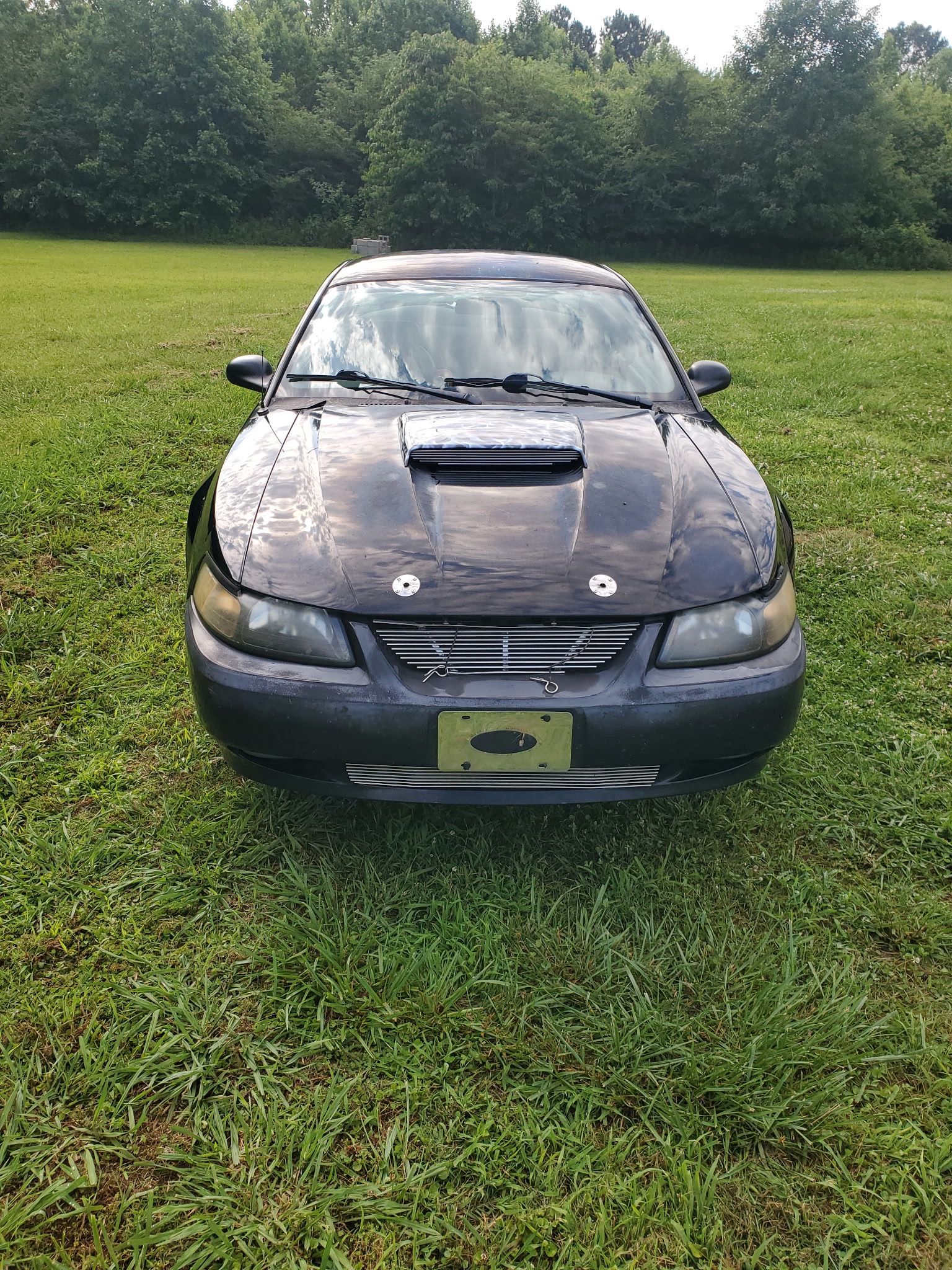 2004 Ford Mustang