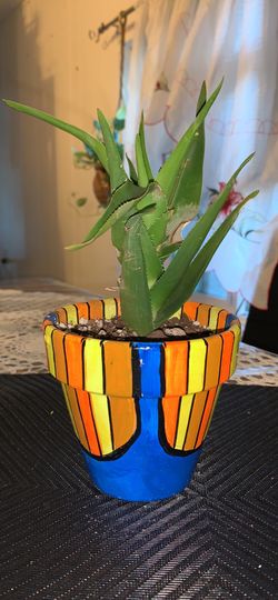 Hand painted flower pot with plant