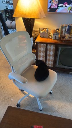 White office chair