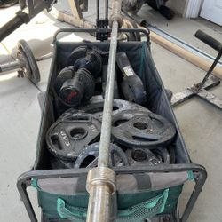 Weights 