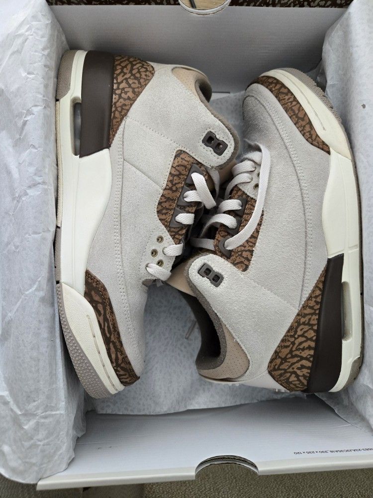 Air Jordan 3 Retro