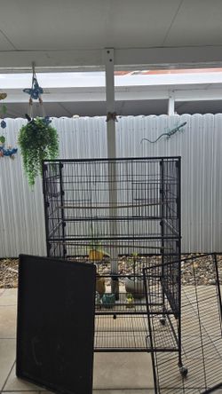 BIRD CAGE 🐦 🐦‍⬛....JAULA PARA PAJAROS